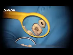 Rotary 25mm Nickel Titanium Endo Retreatment Files For Dental Treatment