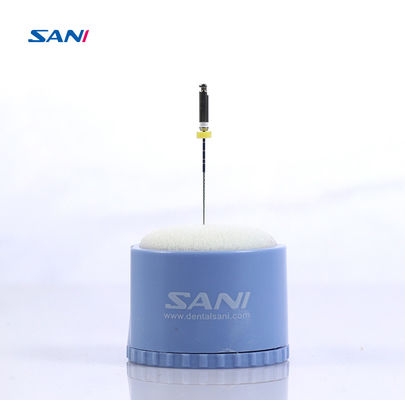 Good price Blue Foam Sponge Endo Clean Stand Dirt Remove Dental Consumables online